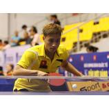 Bóng bàn Việt Nam nhìn từ Giải Cây vợt vàng 2014. Nhiều tuyển thủ chưa chuyên nghiệp